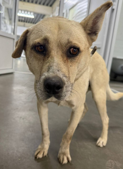 Иркутск 689/25