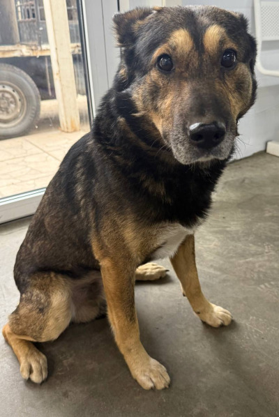 Иркутск 690/25