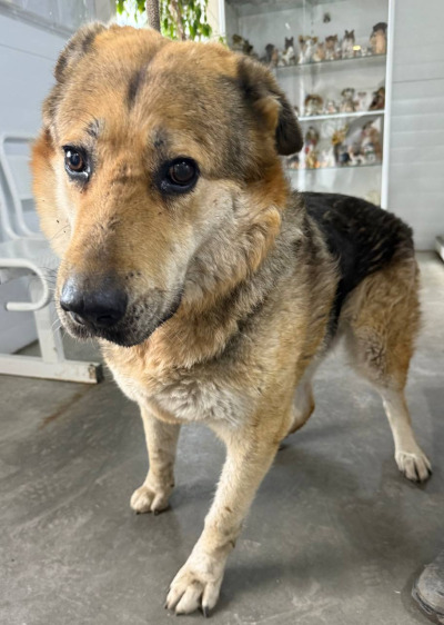 Иркутск 691/25