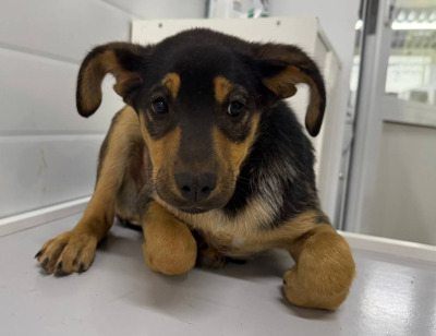 Иркутск 692/25