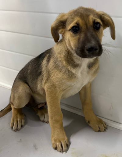 Иркутск 693/25