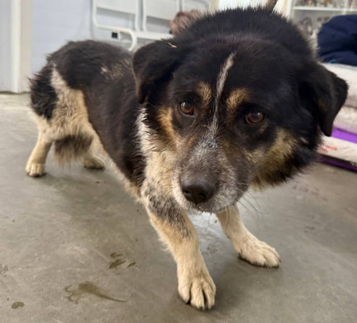 Иркутск 694/25