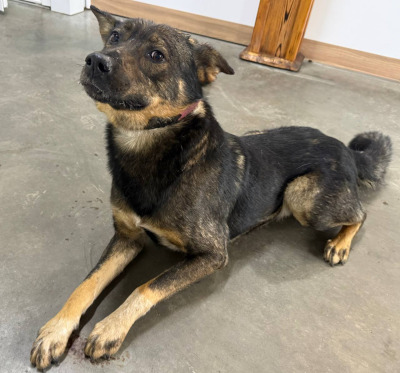 Иркутск 695/25