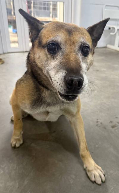 Иркутск 696/25