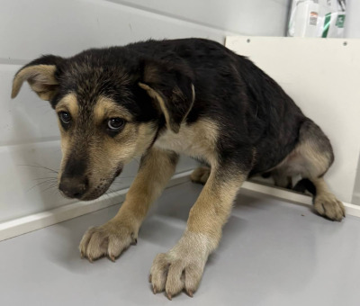 Иркутск 697/25