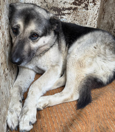 Иркутск 698/25