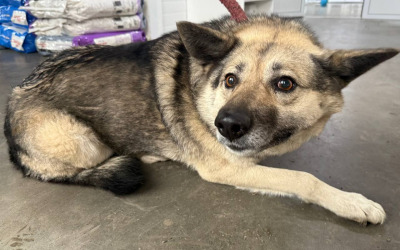 Иркутск 699/25