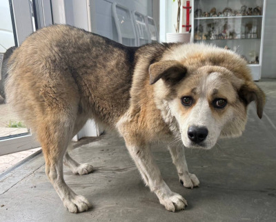 Иркутск 700/25