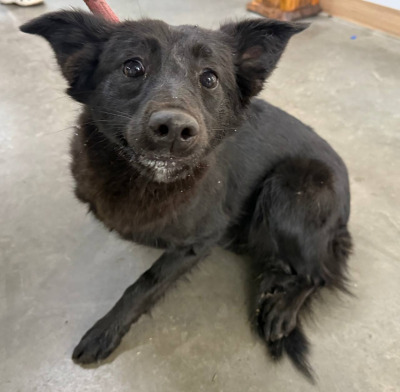 Иркутск 701/25