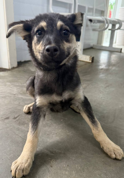 Иркутск 702/25