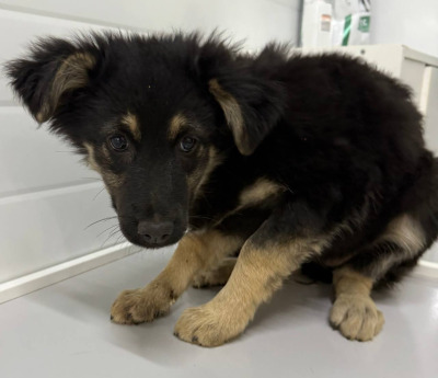 Иркутск 703/25