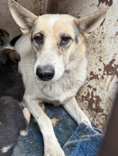 Иркутск 704/25