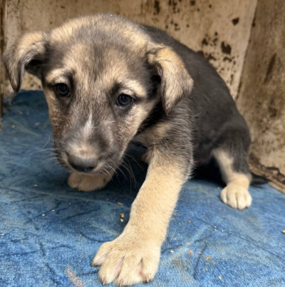 Иркутск 705/25