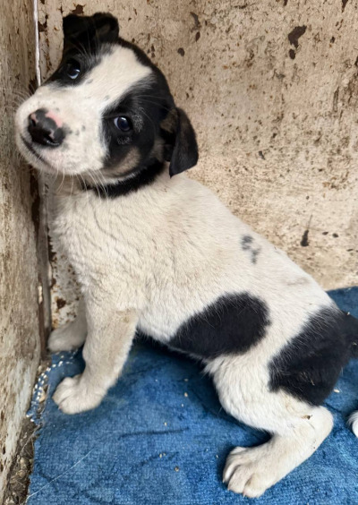 Иркутск 707/25