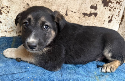 Иркутск 708/25