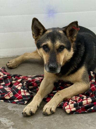 Иркутск 709/25