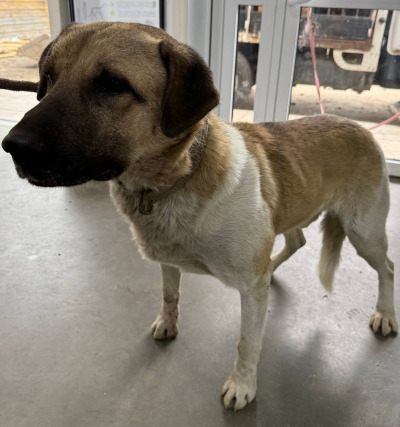 Иркутск 710/25