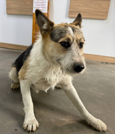 Иркутск 711/25