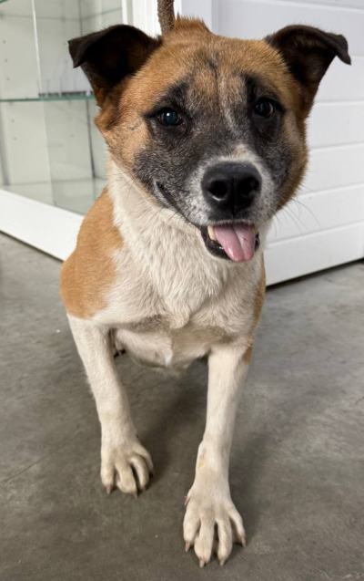 Иркутск 712/25