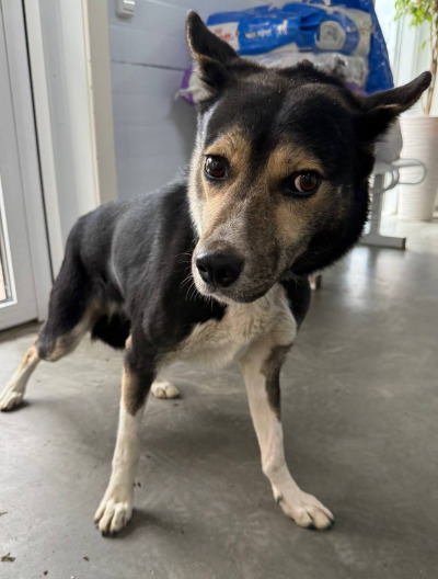 Иркутск 713/25