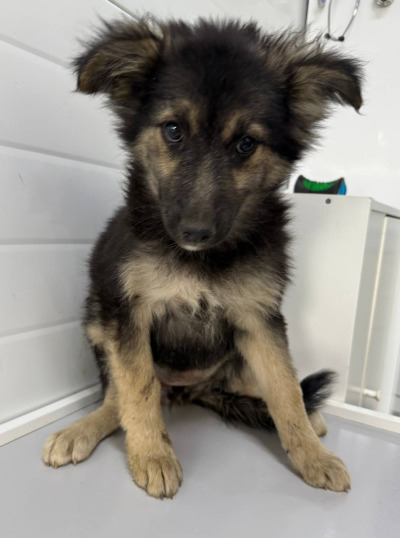 Иркутск 714/25