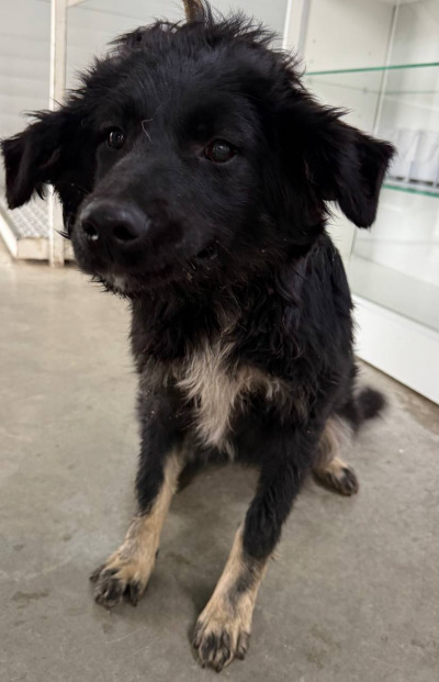 Иркутск 715/25