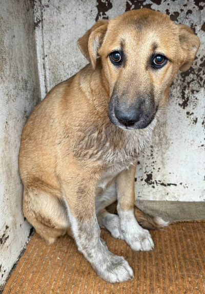 Иркутск 716/25