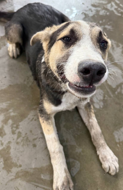 Иркутск 717/25