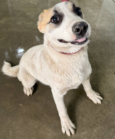 Иркутск 718/25