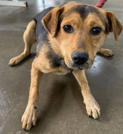 Иркутск 719/25