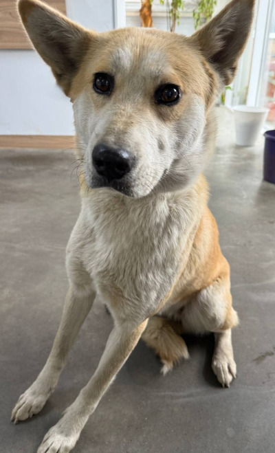 Иркутск 720/25