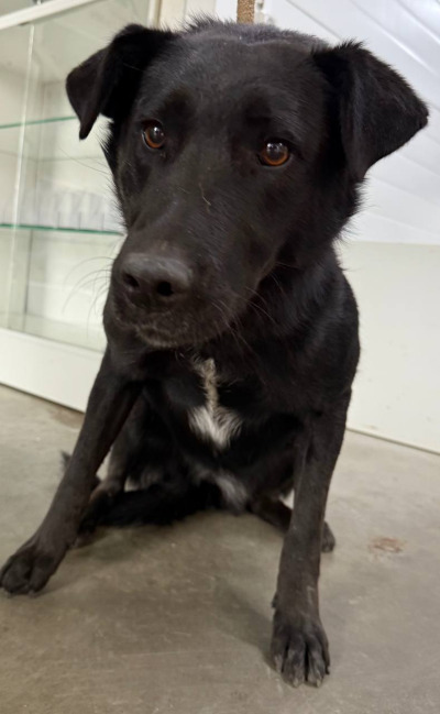 Иркутск 721/25