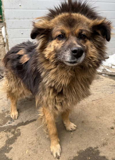 Иркутск 722/25