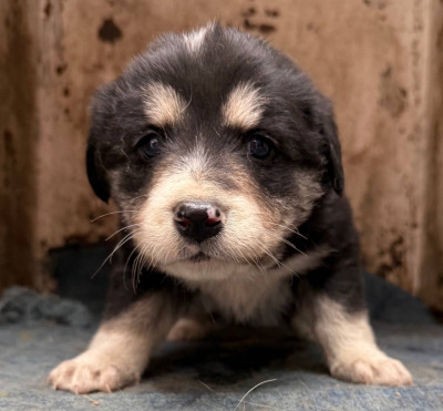 Иркутск 733/25