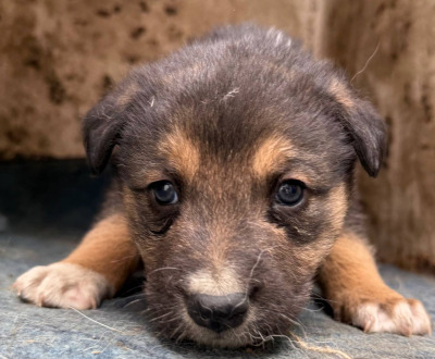 Иркутск 734/25