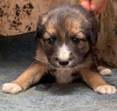 Иркутск 735/25