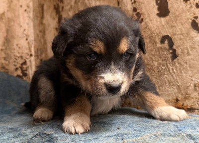 Иркутск 736/25