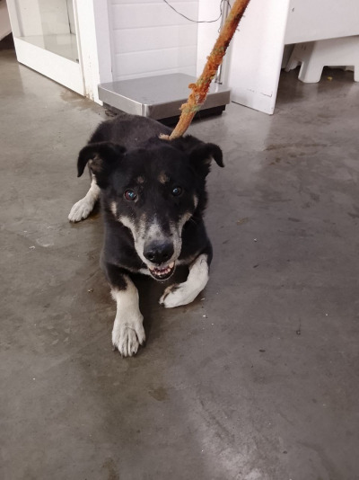 Иркутск 768/25