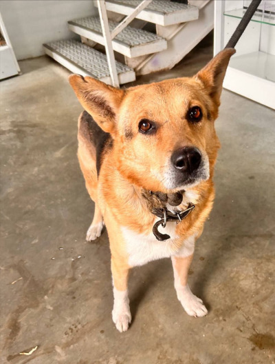 иркутск 769/25