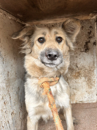 Иркутск 774/25