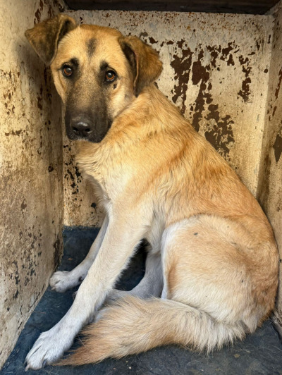 Иркутск 777/25