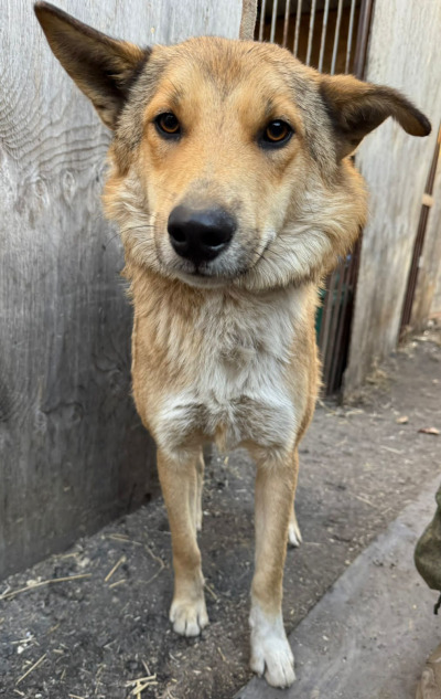 Иркутск 778/25