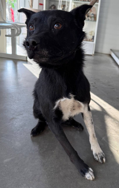 Иркутск 780/25