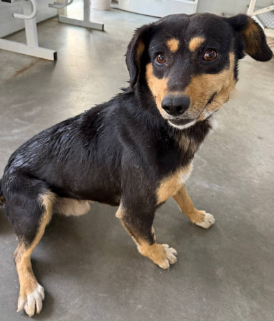 Иркутск 782/25