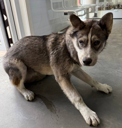 Иркутск 784/25