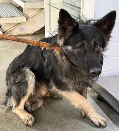 Иркутск 785/25