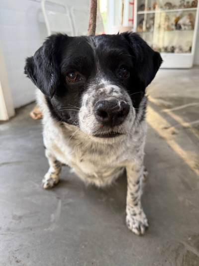 Иркутск 787/25