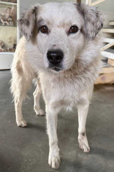 Иркутск 788/25