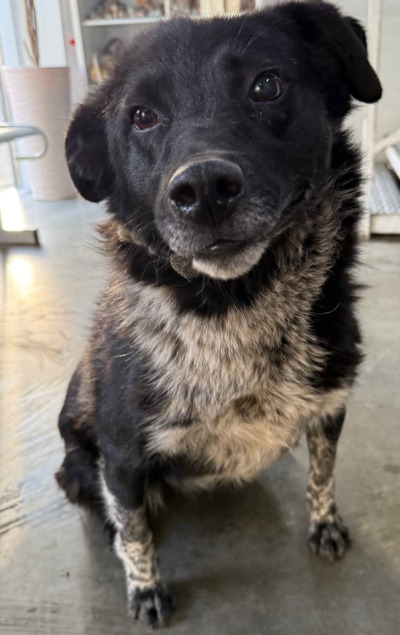 Иркутск 789/25