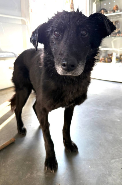 Иркутск 790/25